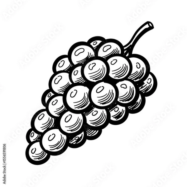 Fototapeta Hand drawn bunch of grape sketch illustration. Simple black outline fruit on transparent background for food design and healthy eating concept.