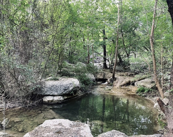 Fototapeta Creek Winding Through Forest
