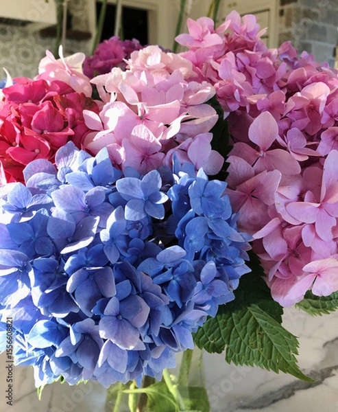 Fototapeta Vibrant Hydrangea Bouquet