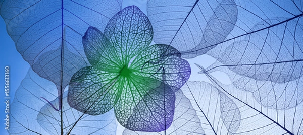 Fototapeta Leaf with veins and cells macro photography