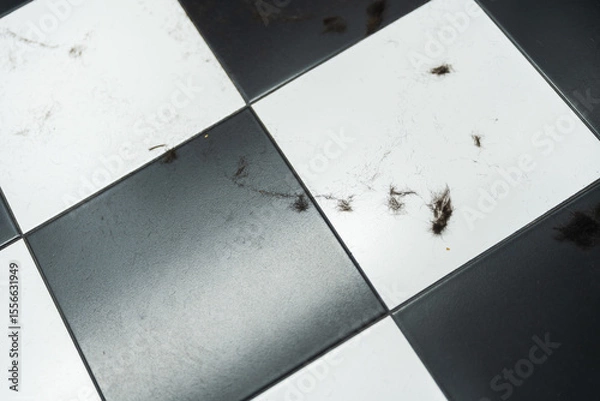 Obraz Dust particles and fur scattered on a black and white tiled floor