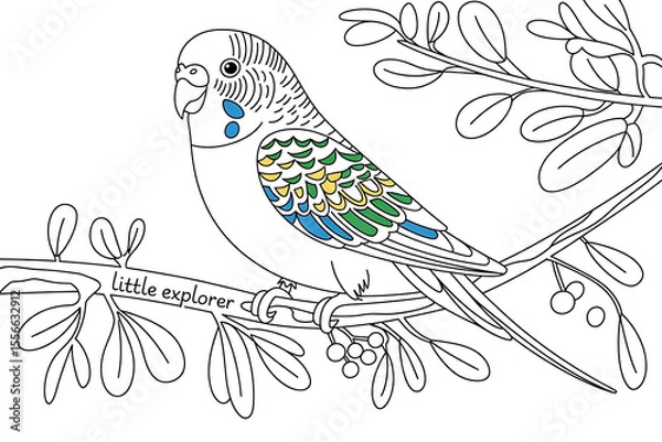 Fototapeta Colorful parakeet perched on a branch.
