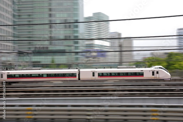 Obraz Japanese train