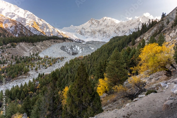 Obraz Golden autumn trees contrast with snow-capped peaks and glacier-carved valley