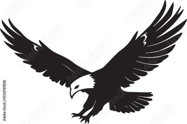 Obraz eagle silhouette