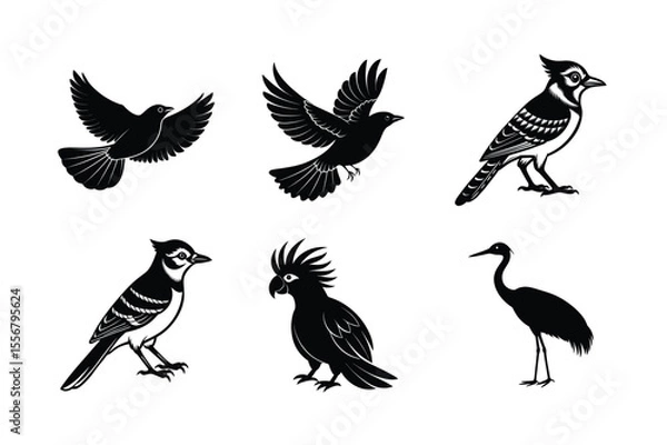Fototapeta Collection of flying and perched bird shapes for design Silhouette Vector illustration
