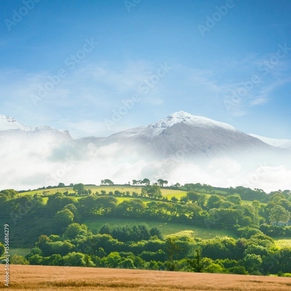 Fototapeta Flat design showing golden brown field, green hills with mist, snowy peak under clear blue sky