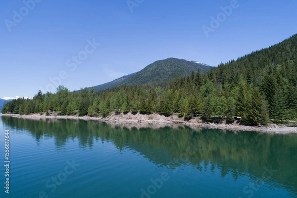 Obraz Forest on mountain by river against blue sky