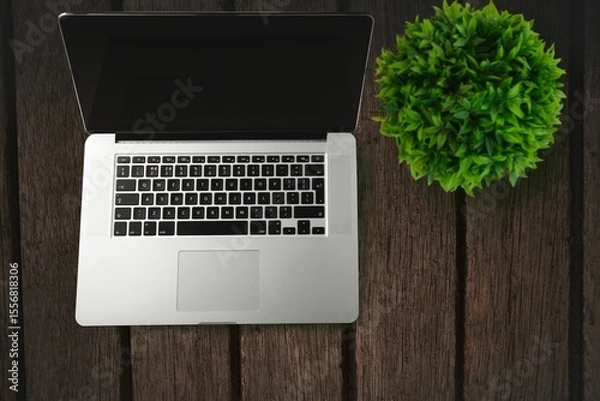 Obraz Flat design open silver laptop is resting on weathered wooden tabletop, with green potted plant