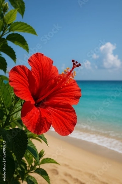Obraz red hibiscus flower