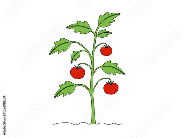 Obraz Abstract tomato bush in the garden,on the farm,agriculture,cottage. continuous single one line art drawing sketch, logo