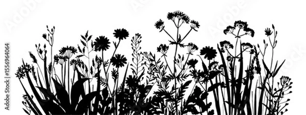 Obraz Vector silhouette of wild meadow herbs and flowers. Natural black grass border on white background. Perfect for botanical design, print, cards, posters, eco packaging, and decorative elements.