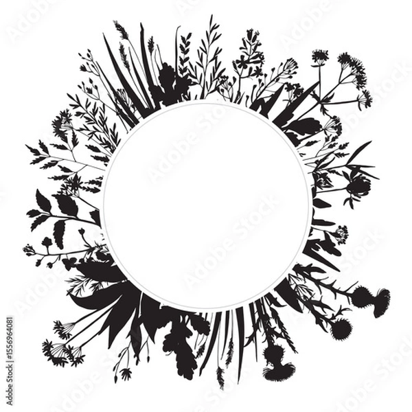 Obraz Vector silhouette of wild meadow herbs and flowers. Natural black grass border on white background. Perfect for botanical design, print, cards, posters, eco packaging, and decorative elements.