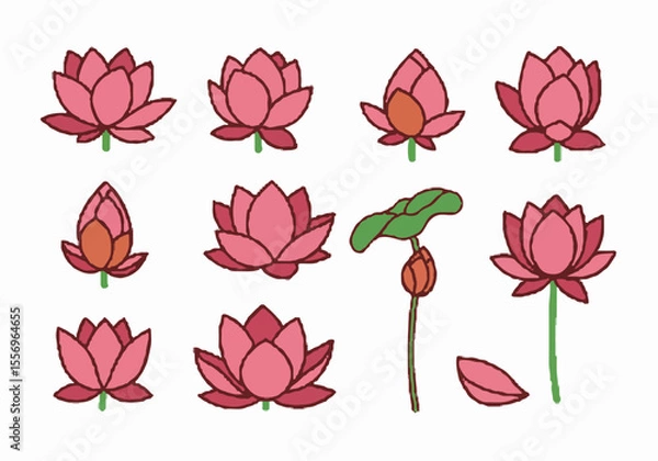 Fototapeta Hand-drawn pink lotus flower illustrations in various stages, including buds, blooms, leaves, and a single petal on a white background.