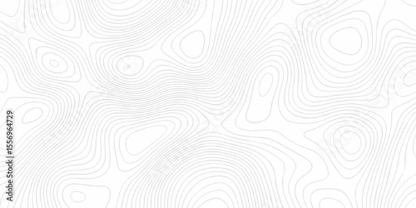 Obraz Abstract topography pattern seamless lines sea map modern design white background. Abstract digital topographic contour map concept space geometric strip grid line. Natural discovery of maps.	
