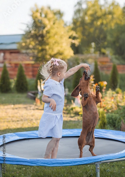 Obraz a three year old smiling girl playing with dachshund dog on trampoline in green sunny summer park
