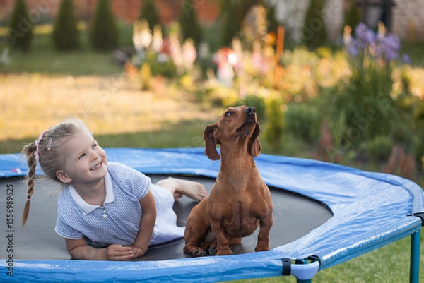 Obraz a three year old smiling girl playing with dachshund dog on trampoline in green sunny summer park