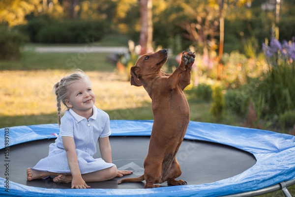 Obraz a three year old smiling girl playing with dachshund dog on trampoline in green sunny summer park