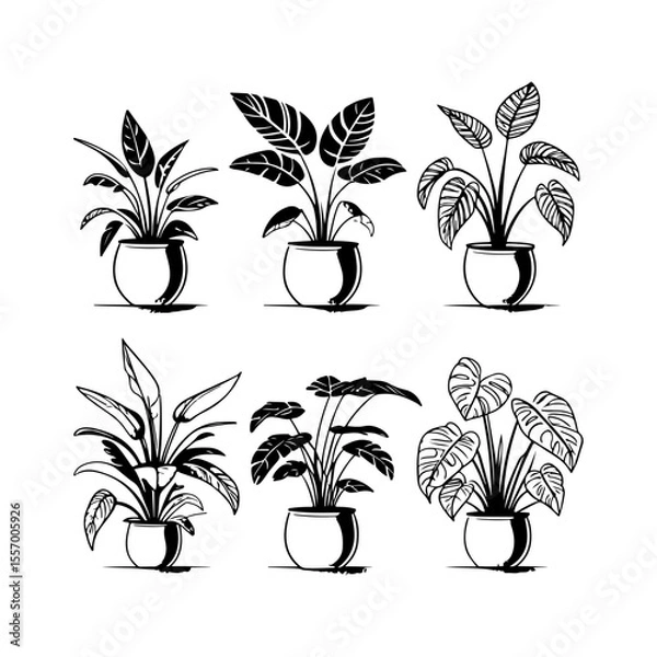 Obraz Silhouette design elements for design universal template, simple template design isolated on white background.
