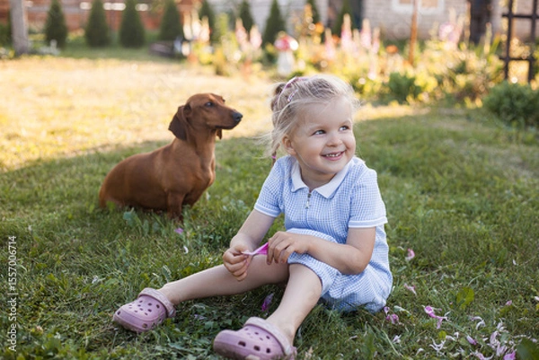 Obraz three year old girl, playing with her dog dachshund on a green grass in a park