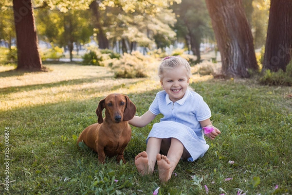 Obraz three year old girl, playing with her dog dachshund on a green grass in a park