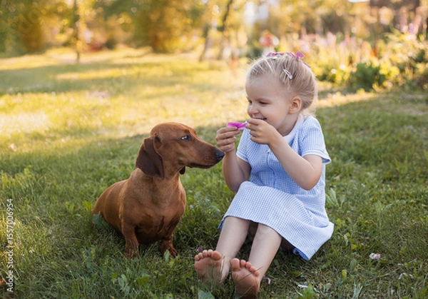 Obraz three year old girl, playing with her dog dachshund on a green grass in a park