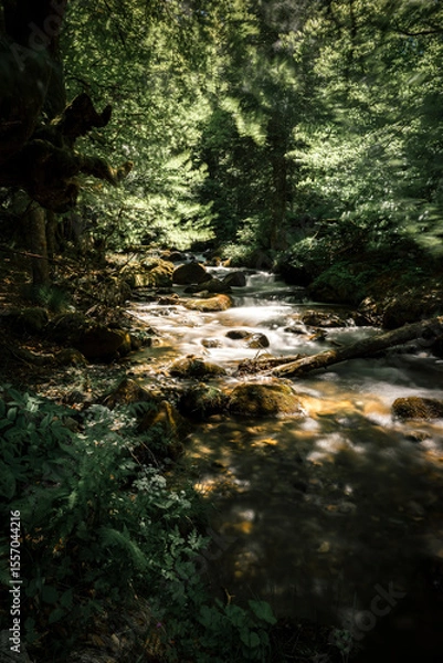 Fototapeta canton de neste verticale chemin