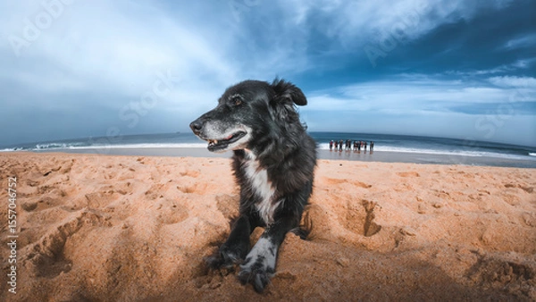 Obraz border plage grnd angle