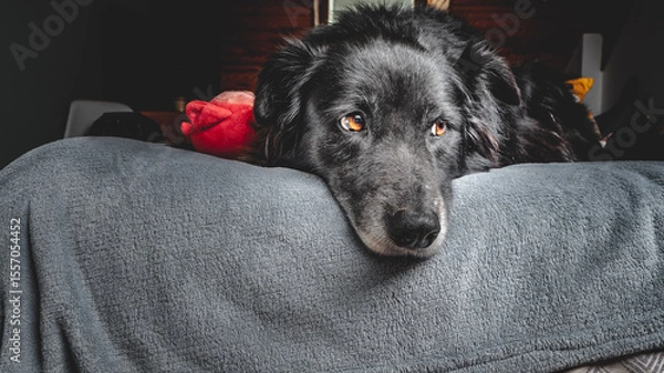 Fototapeta border repos