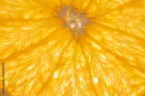 Fototapeta The photograph shows the surface details of a halved orange, studio light from behind.