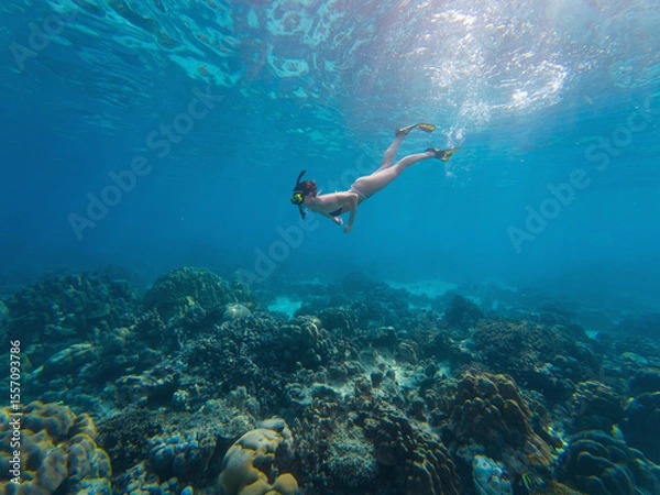 Fototapeta A person swims underwater in clear blue water, surrounded by colorful coral formations and marine life. The scene captures the serenity and beauty of the ocean environment.