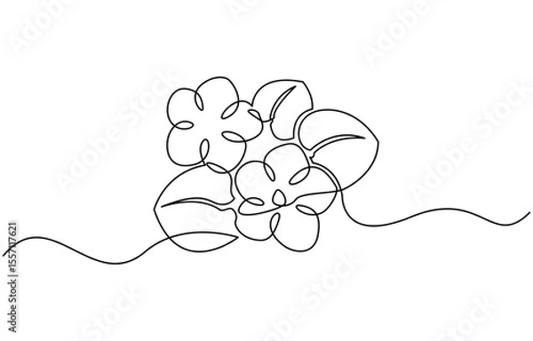 Fototapeta An illustration of a Saintpaulia flowering plant on a white background, African violet in continuous line art drawing style, Saintpaulia flowering plant black linear sketch isolated on white backgroun