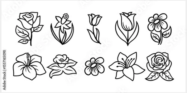 Fototapeta Outline narcissus and tulip isolated Doodle flowers set Hand drawing art line Fflower collection Vector stock illustration