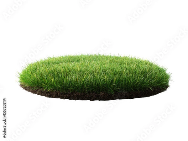 Fototapeta Lush green grass transparent background cutout png for nature landscape and graphic design projects