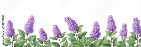 Fototapeta Lavender spikes stand like fragrant soldiers, whispering secrets of Midsummer Night celebrations and Victorian-era herbal apothecaries