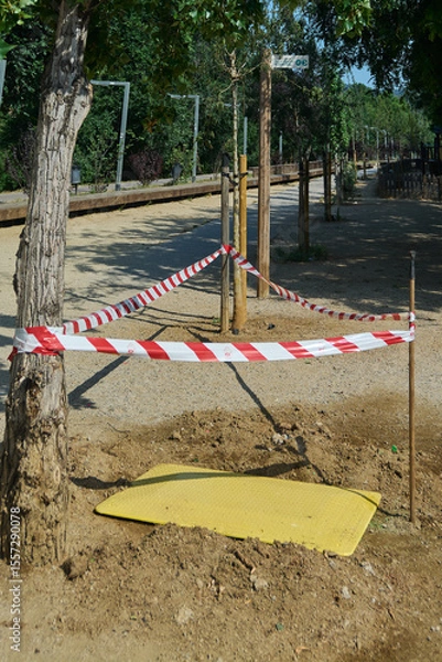 Fototapeta Construction site within a park featuring young trees and safety barriers, highlighting urban greening efforts. Ideal for conveying concepts of city planning, sustainability, and community