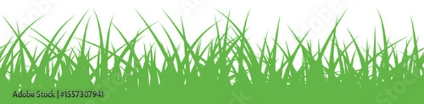 Fototapeta grass pattern spring greenery seamless botanical border isolated white background