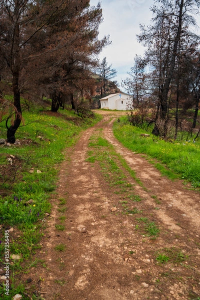 Obraz Rural dirt path leads to hillside chapel