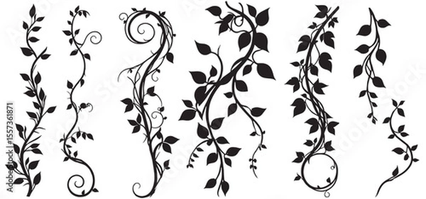 Fototapeta silhouette Ivy flower set, Ivy Vector, climbing ivy creeper branch isolated on white background vector