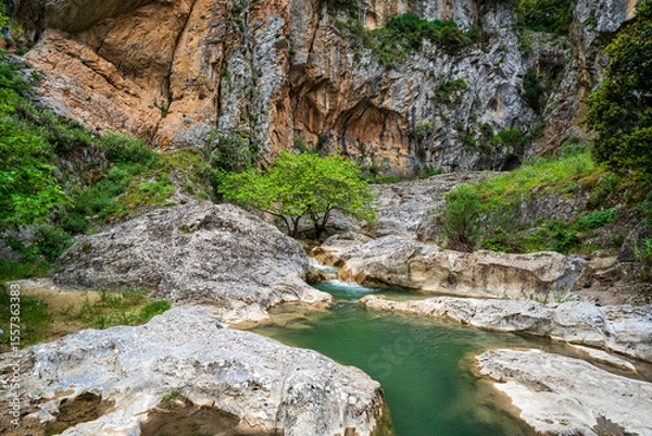 Fototapeta Emerald limestone pool in Saint Luke Gorge
