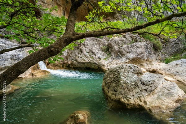 Obraz Turquoise pool under branch, Saint Luke Gorge
