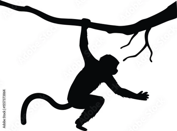 Fototapeta Black silhouette of a monkey hanging from a tree branch against a white background