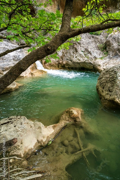 Fototapeta Turquoise pool under branch, Saint Luke Gorge