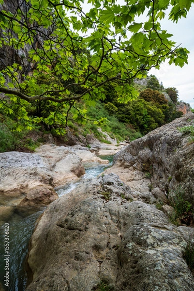 Obraz Leafy cascade within Saint Luke Gorge Greece