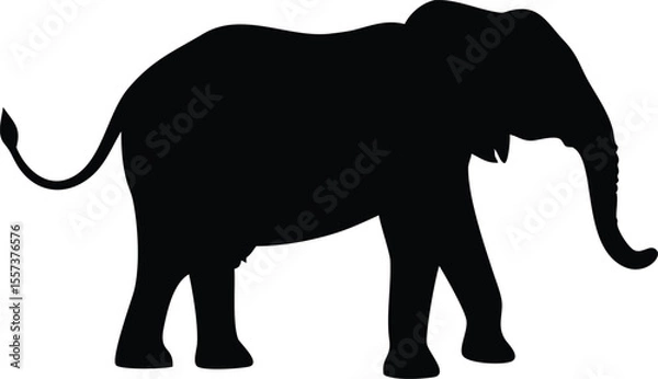 Fototapeta Silhouette of a large african elephant walking with its trunk extended forward