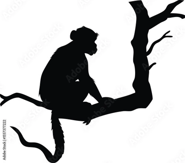 Fototapeta Silhouette of a monkey perched on a tree branch in a minimalistic artistic illustration.