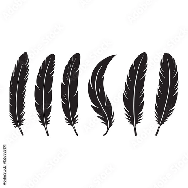 Obraz Variety of Feathers Depicted in Black and White Silhouette Style Grouped Horizontally on White Background
