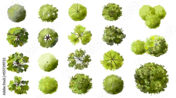 Fototapeta Vector set of Top view green tree for outdoor plan or map and architecture drawing, elements for environment and garden ,botanical elements ,Blooming flowers in spring,tropical plants element