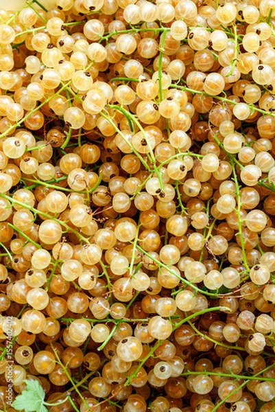 Fototapeta Golden berries are densely packed together, highlighted by natural light that enhances their translucent sheen. Stems and occasional leaves add vibrant green contrast to the warm, yellow-hued fruits.
