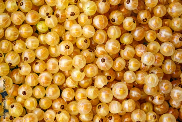 Fototapeta A cluster of golden currants fills the frame, showcasing their translucent skins with subtle shine. Each berry's small, dark center contrasts with the surrounding vibrant yellow hues.